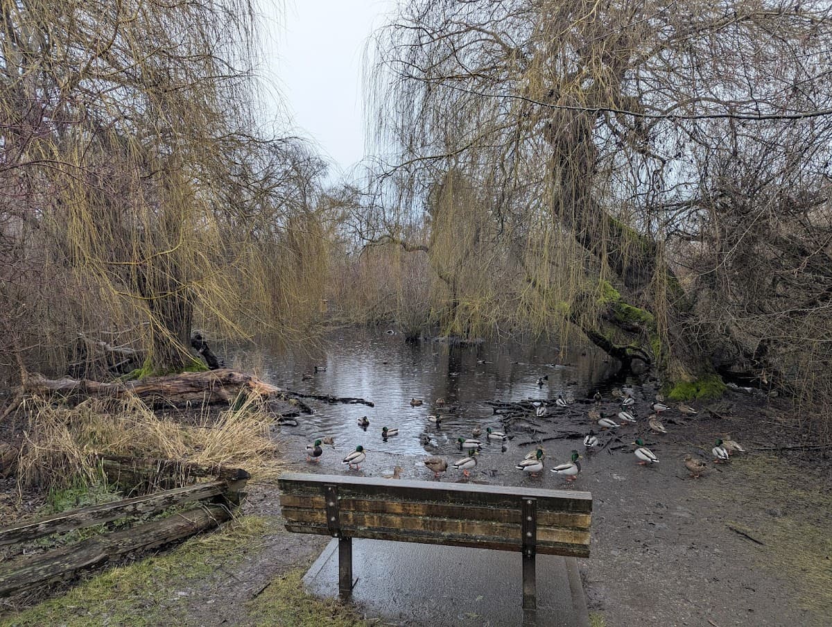 Bow Park