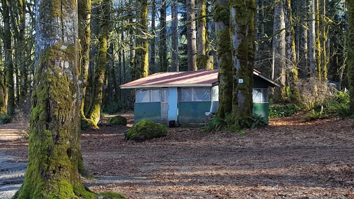 Caycuse Campsite