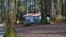 Caycuse Campsite