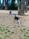 Danbrook Park
