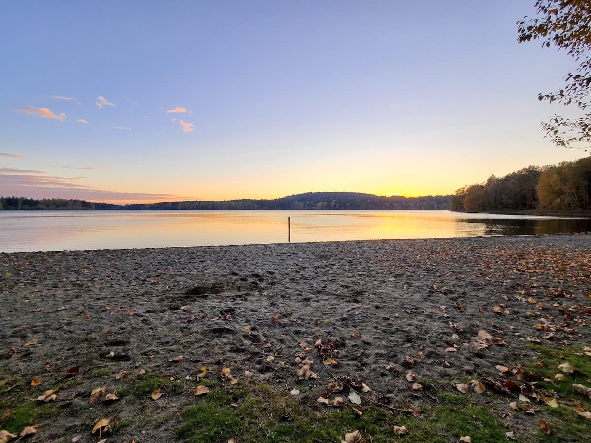 Hamsterly Beach