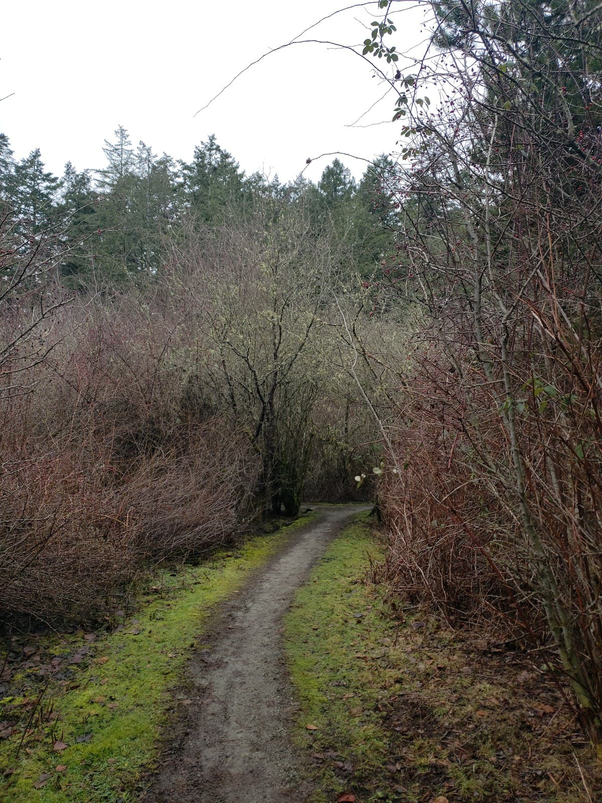 Kanishay Park