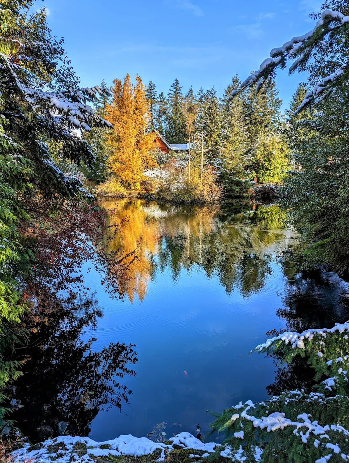 Lake Ida Ann Park