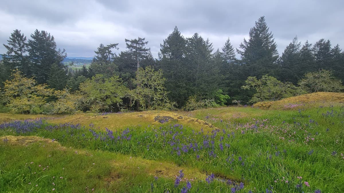 Oak Haven Park