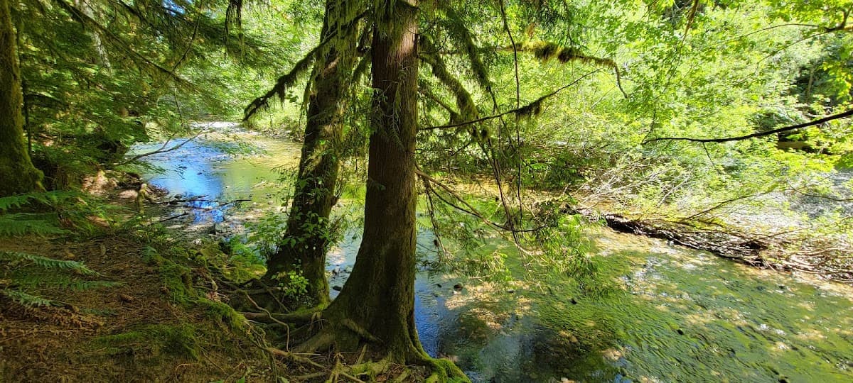 Harris Creek Spruce Recreation Site