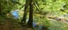 Harris Creek Spruce Recreation Site