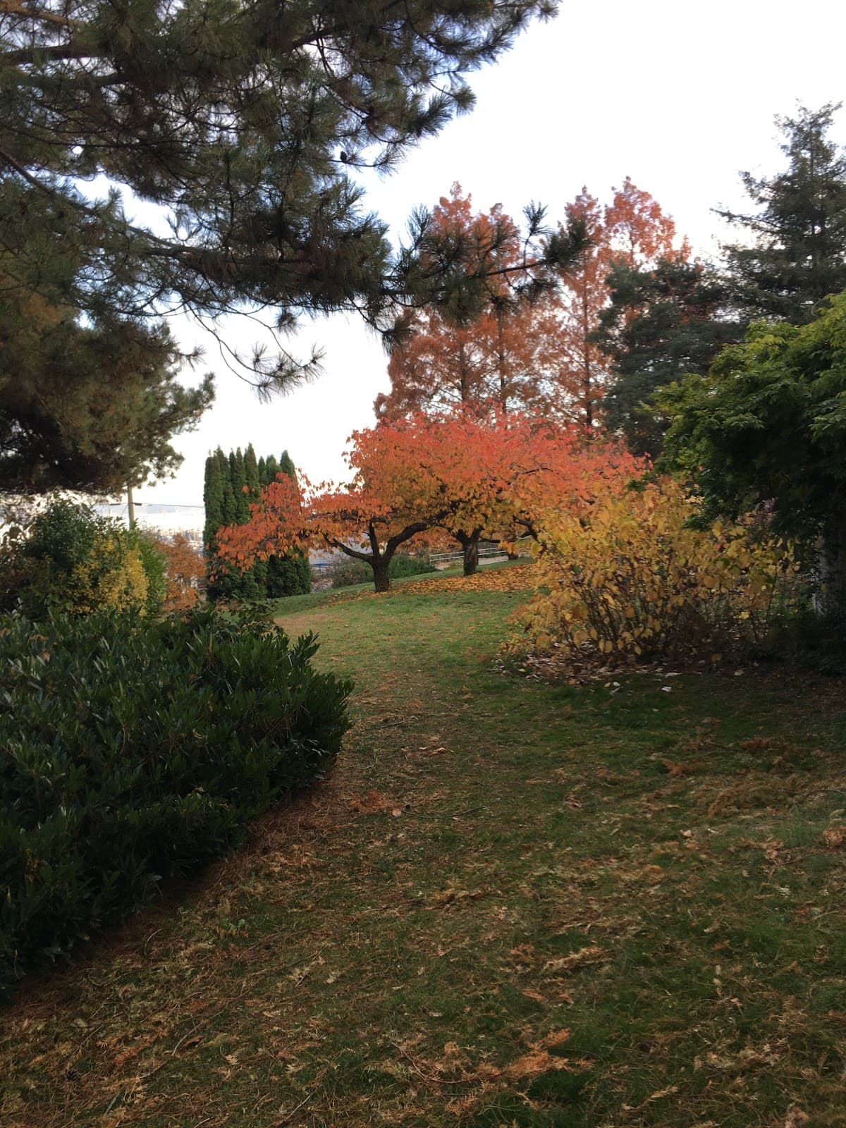 Chinese Memorial Gardens Park