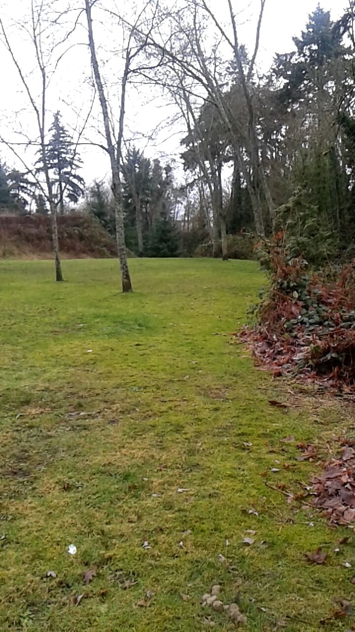 Saint George Ravine Park