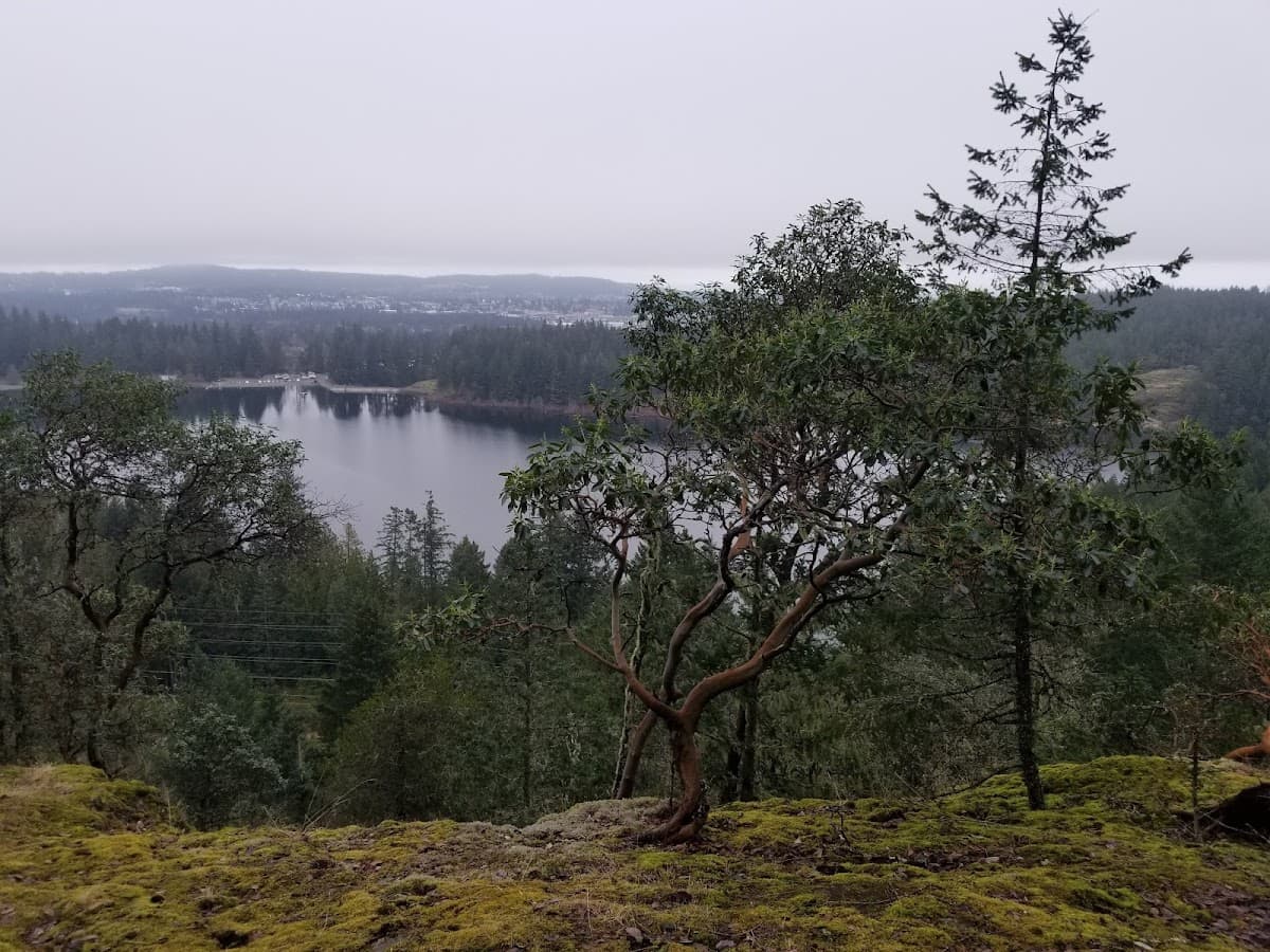 Theresa Terrace Park