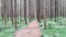 Nanaimo River Regional Park