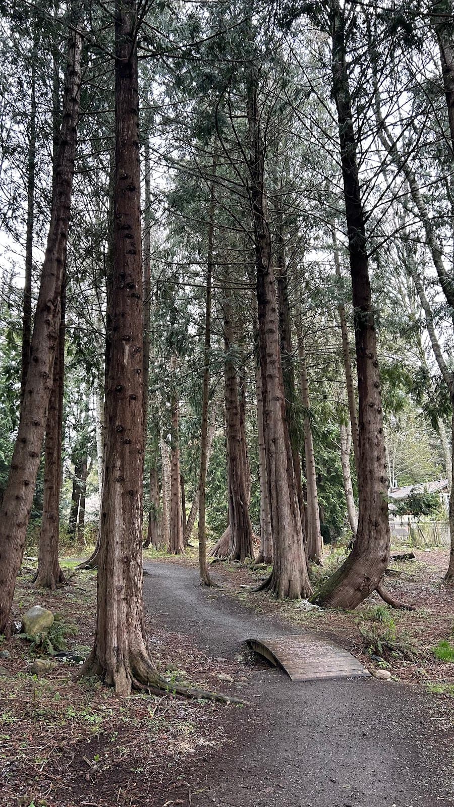 Pineridge Park