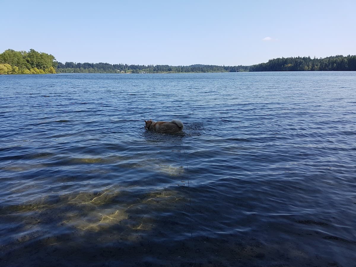 Water Ski Beach