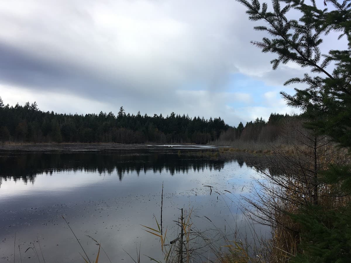 Coats Marsh Regional Park