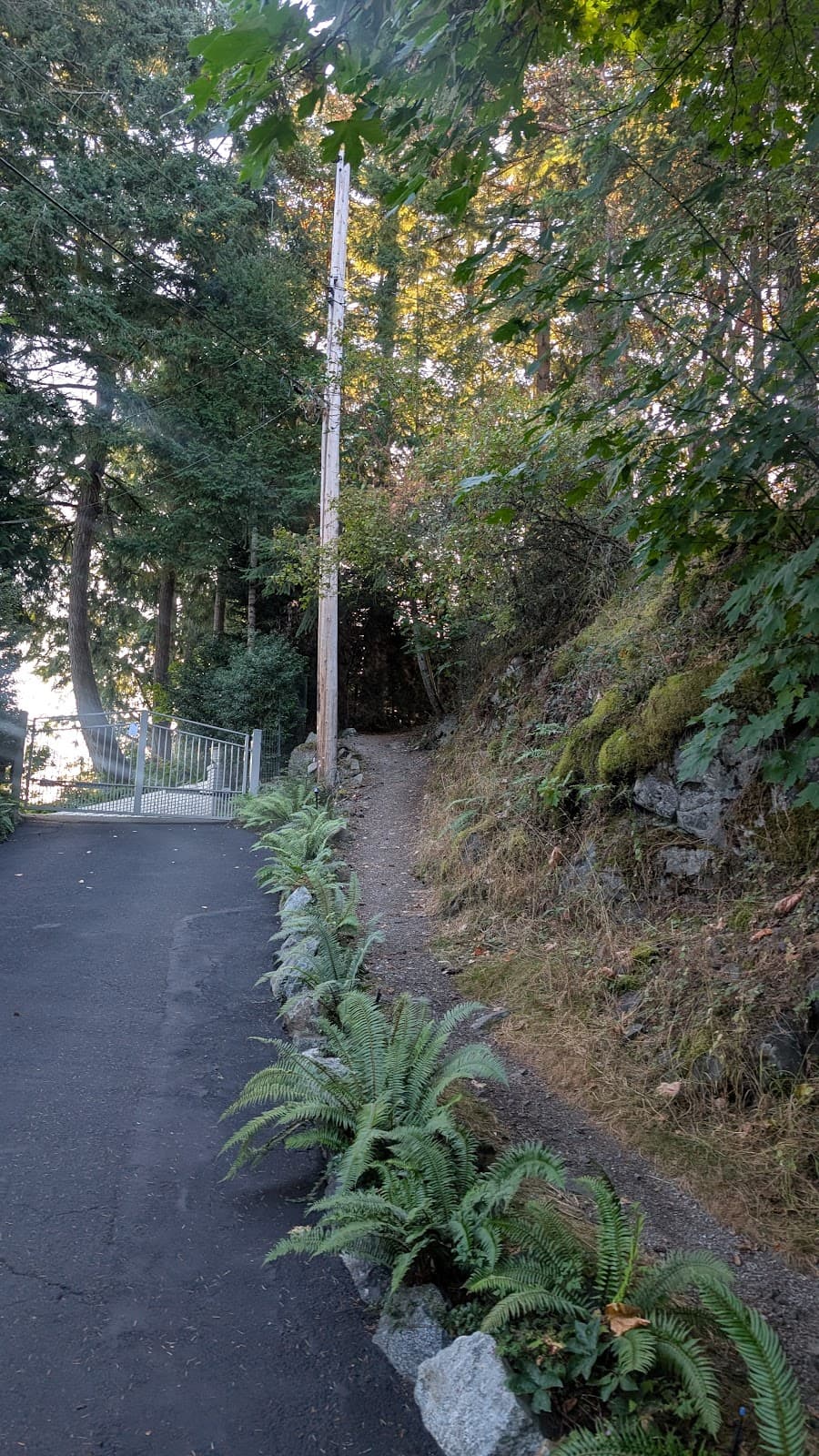 Pachena Park