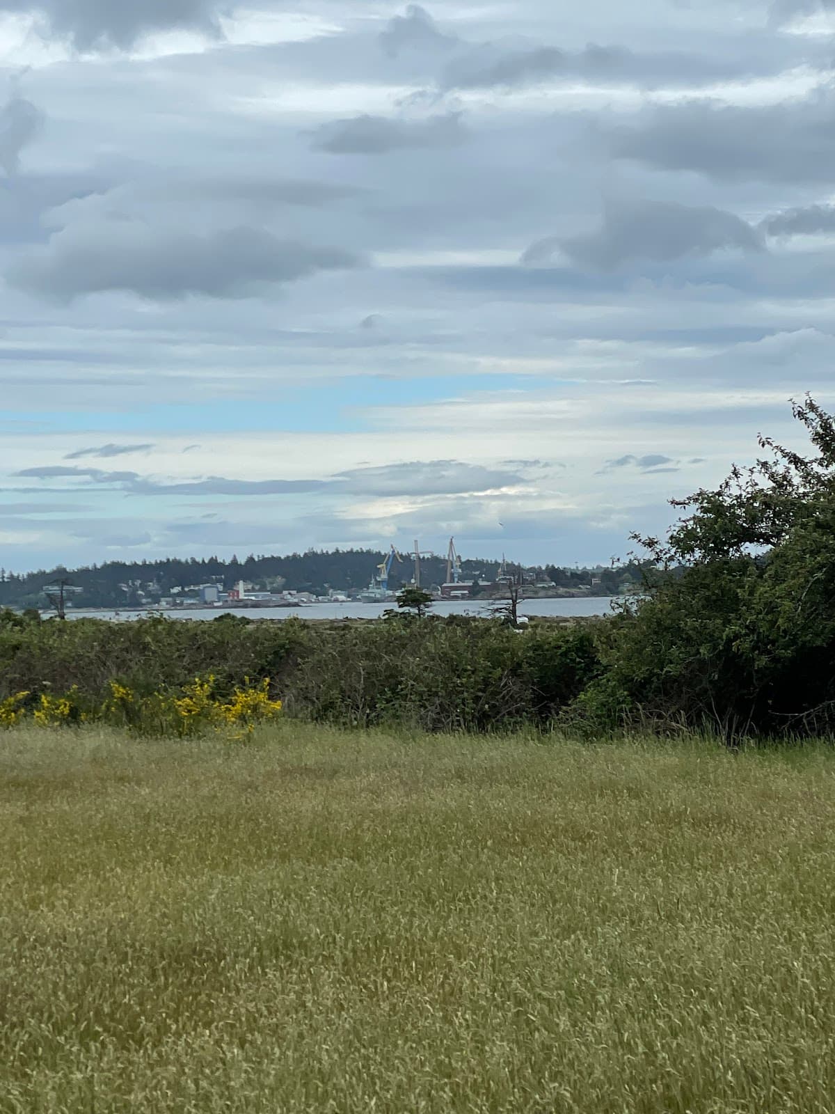 Pit House Park