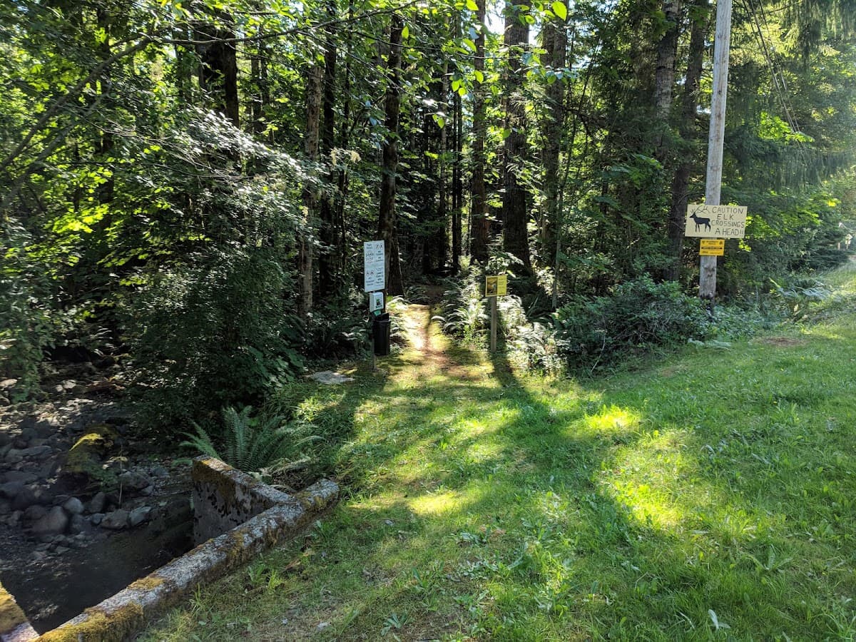 Sword Fern Trail