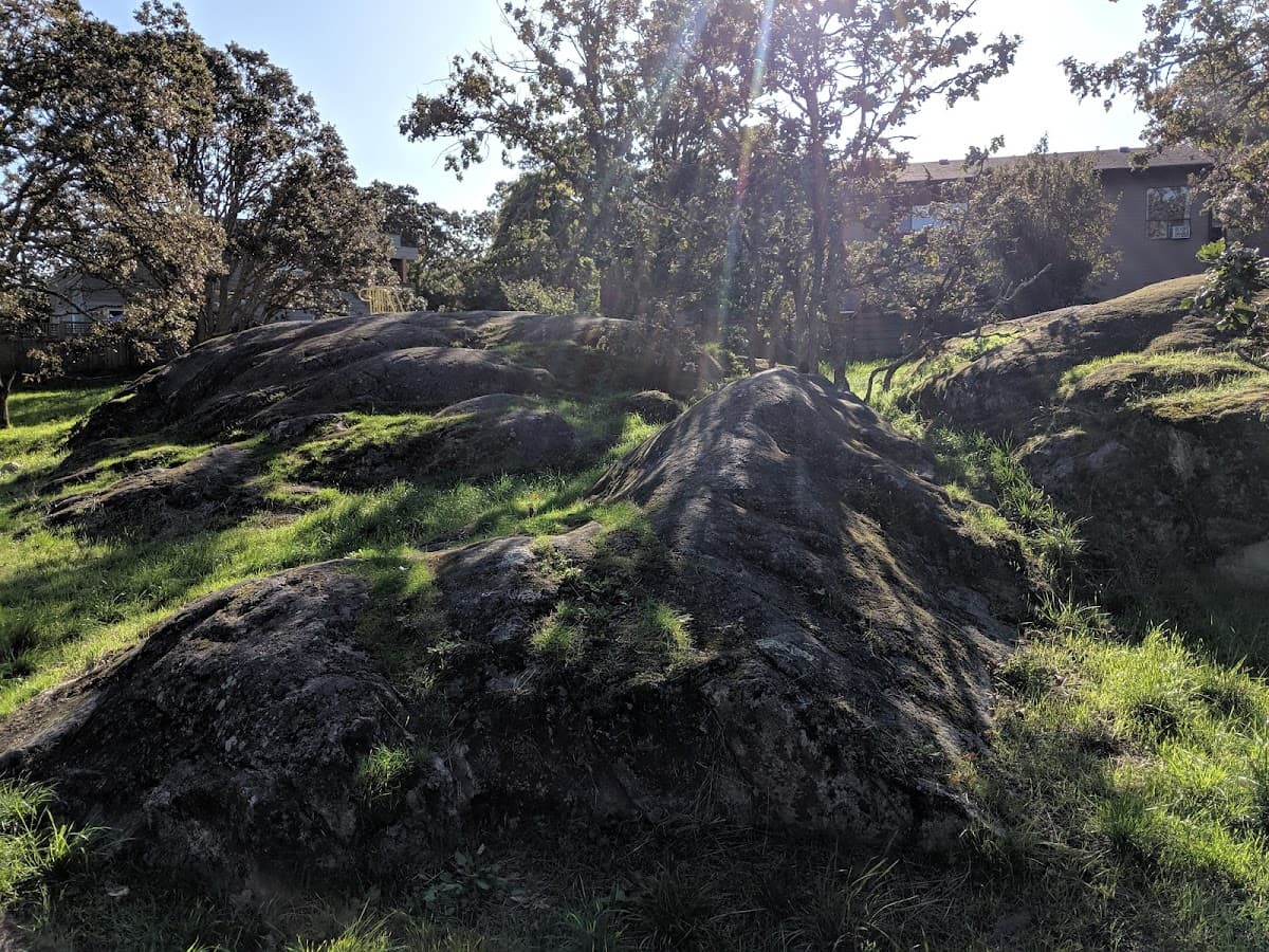 Mount Stephen Park