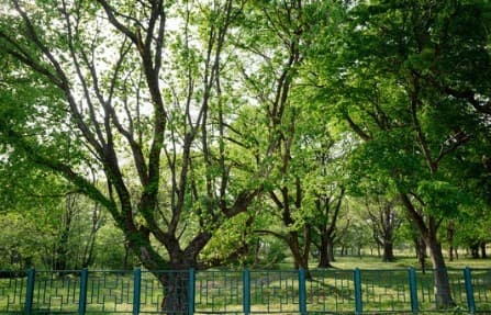 William Stevenson Memorial Park