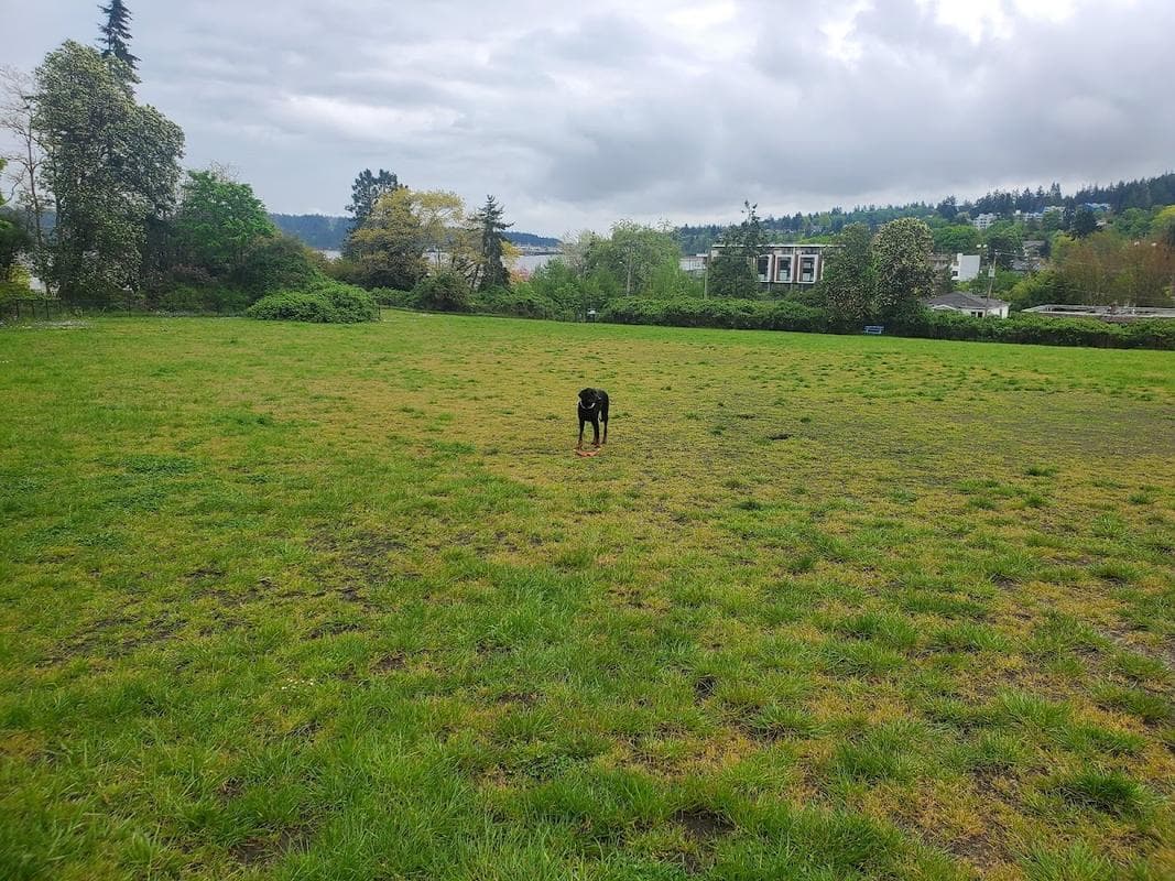 Wardropper Park