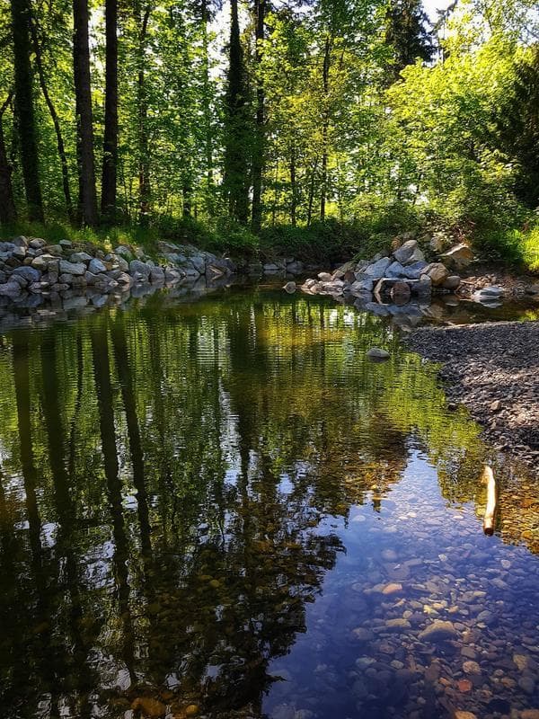 Dry Creek Park