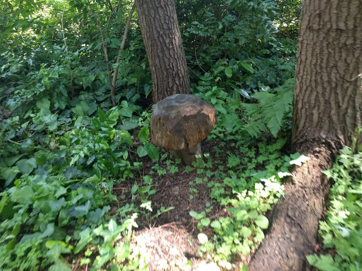 Broadmead Park