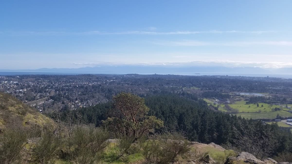 Perez Park