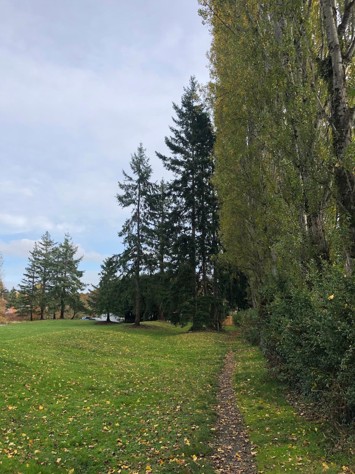 Edge Park