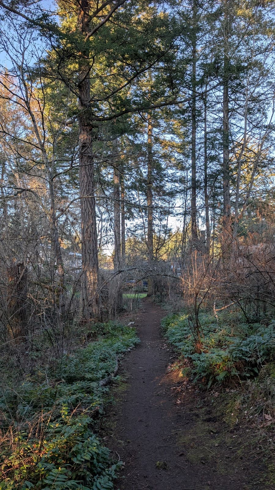 Lohbrunner Park