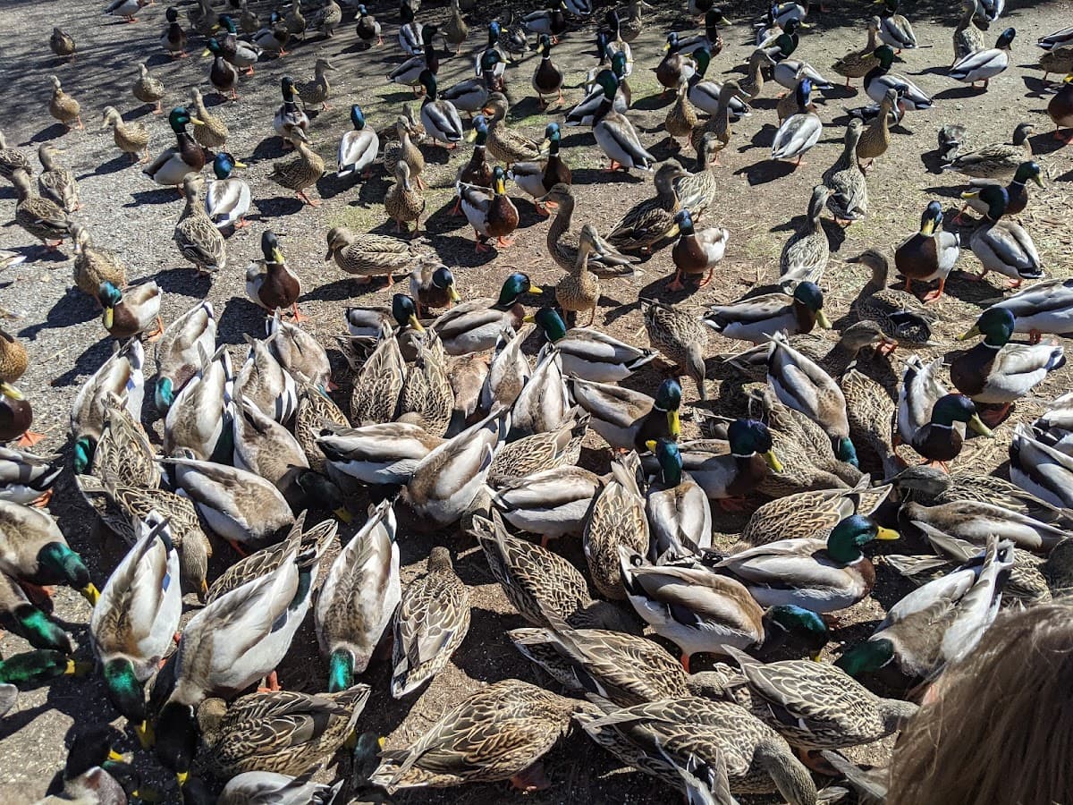 King's Pond Park