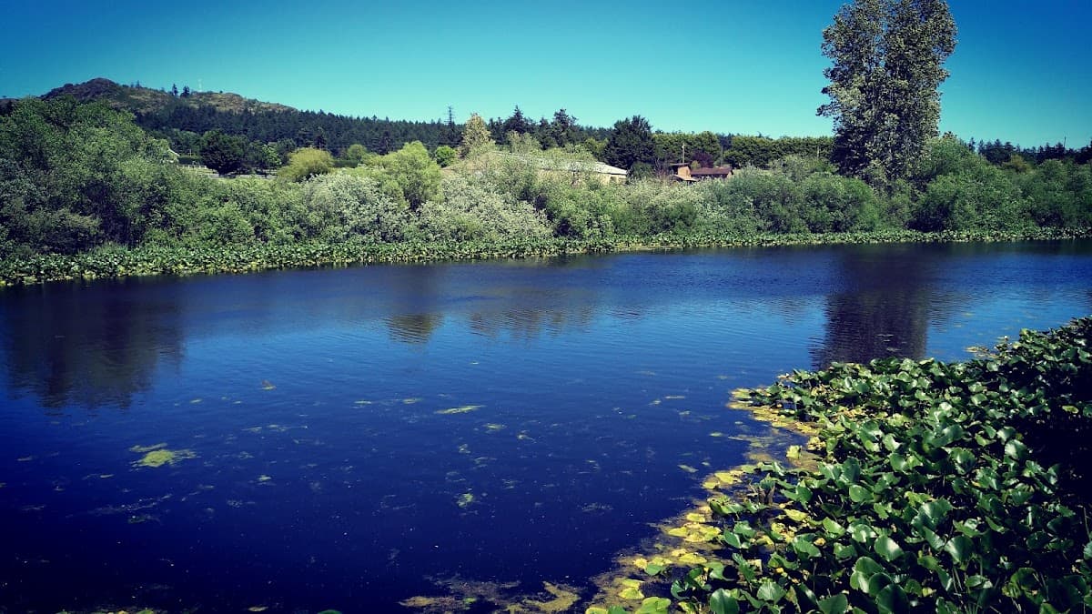 Stoneywood Park