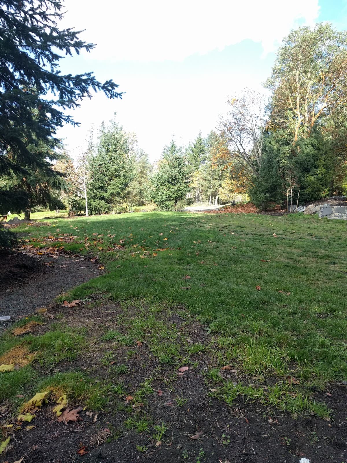 Story Lane Park