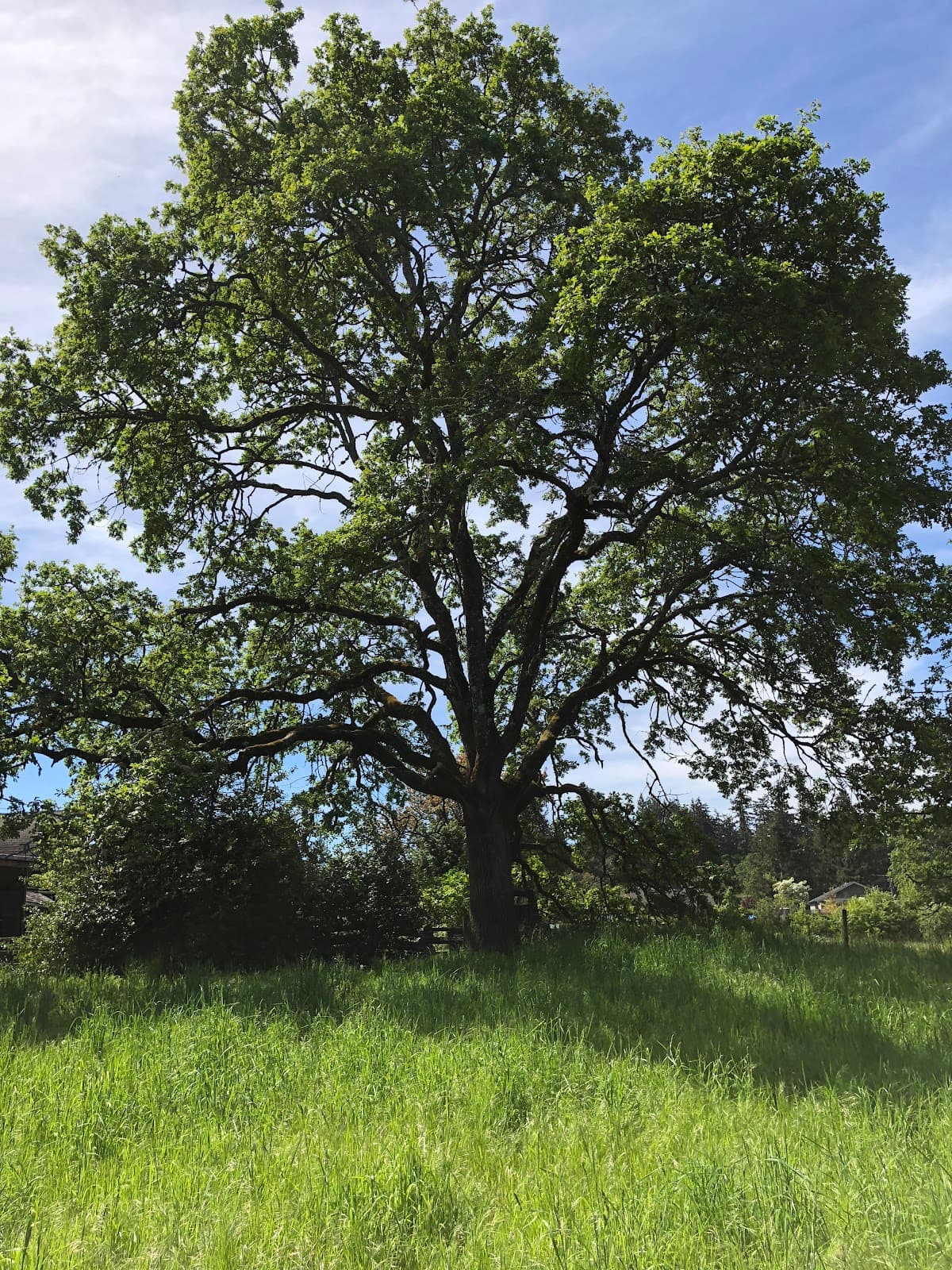 Strawberry Knoll Park