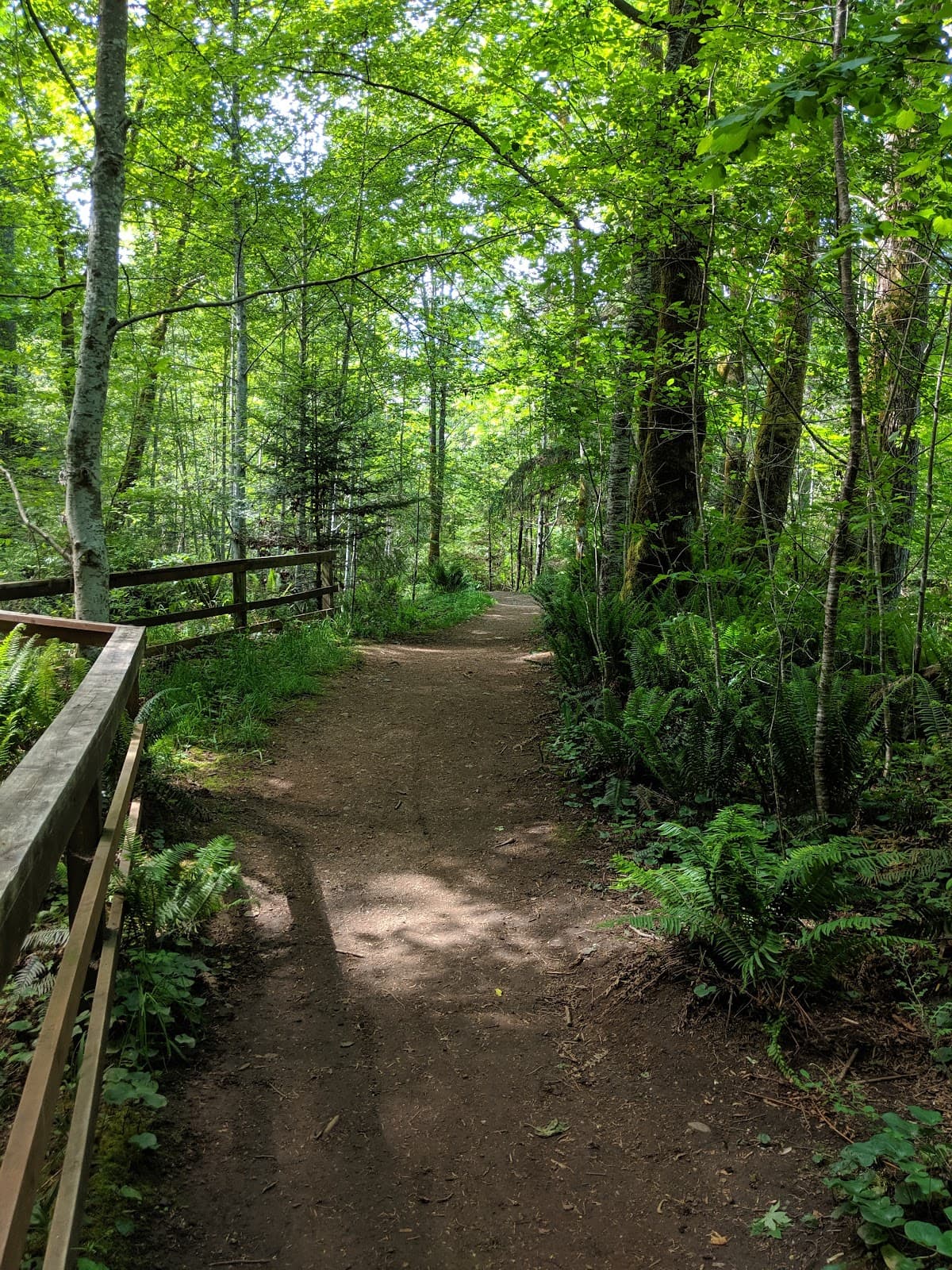 Malcolm Morrison Sr. Park