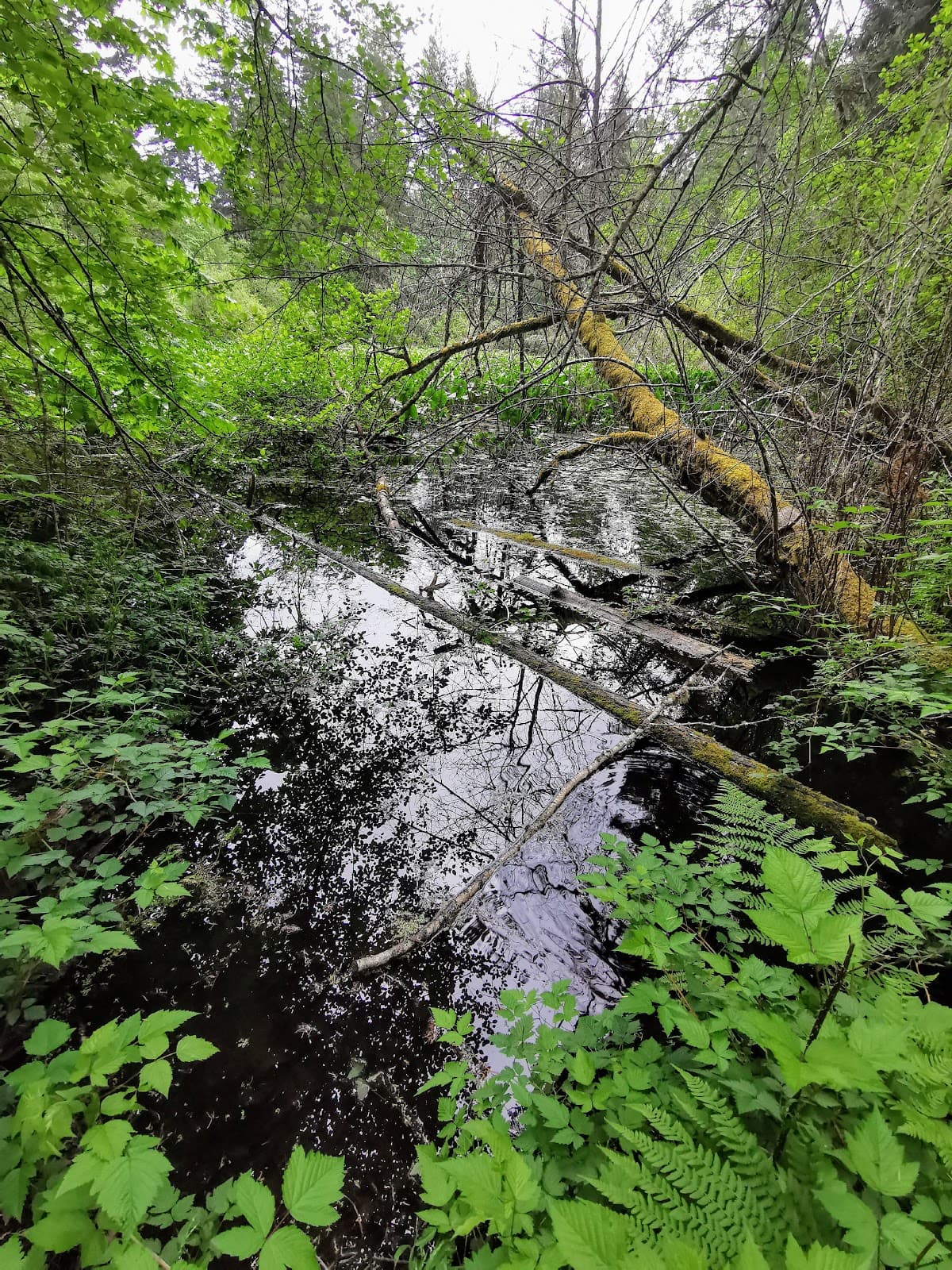 Seagirt Ponds Park