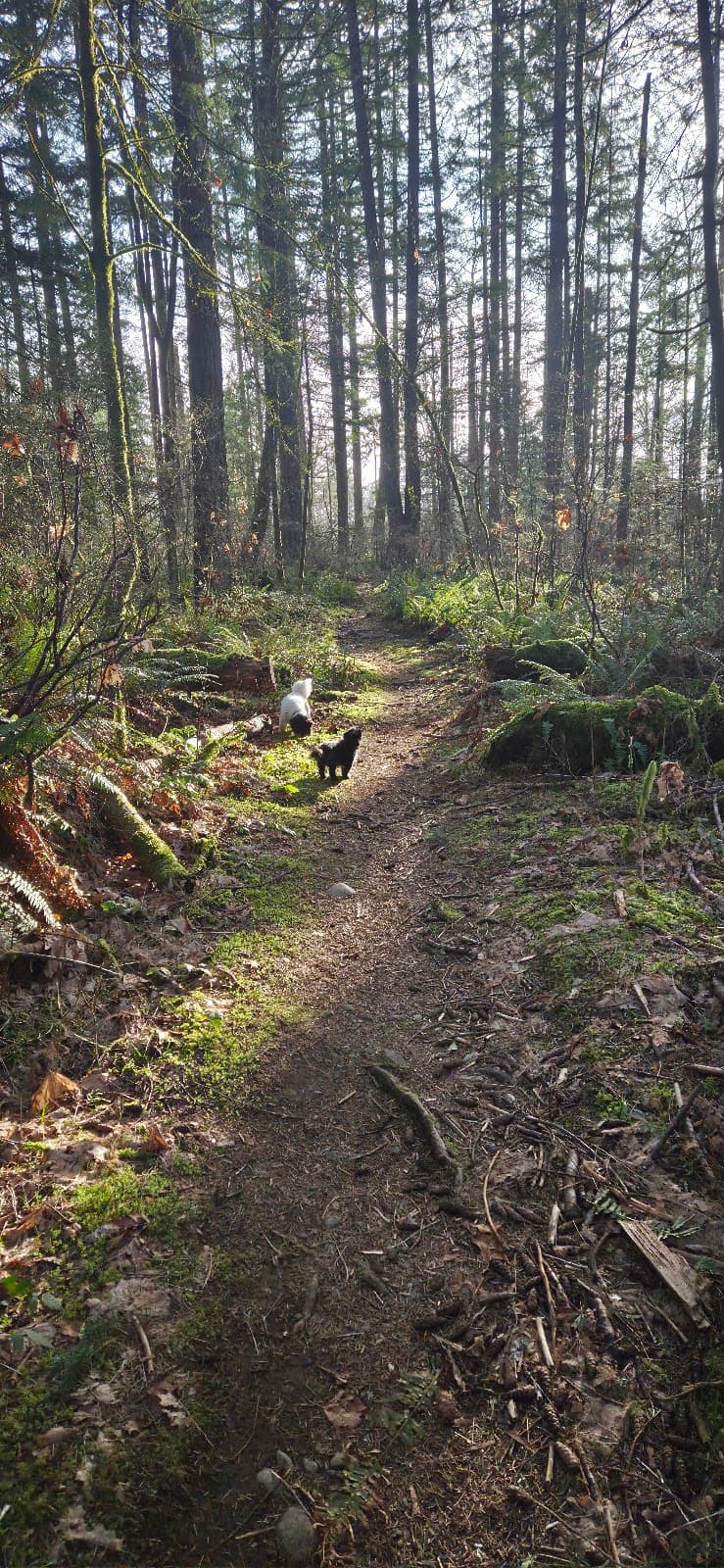 Millard Nature Park