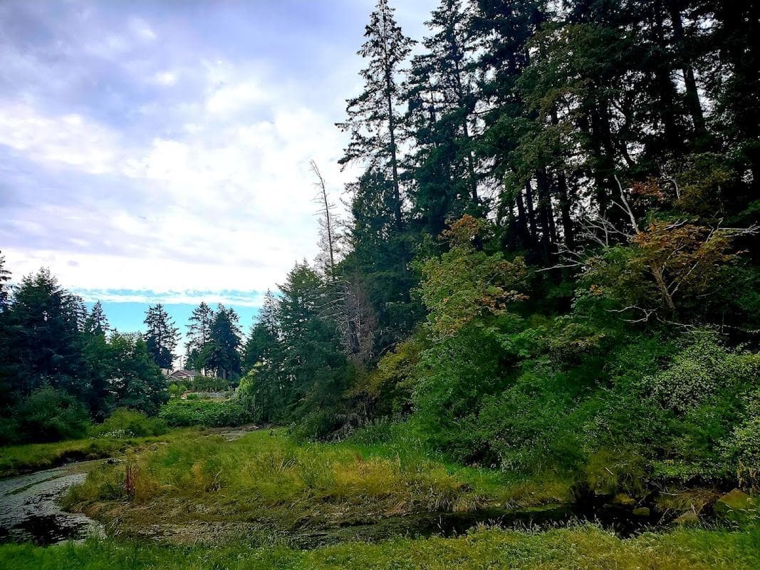 Chase River Estuary Park