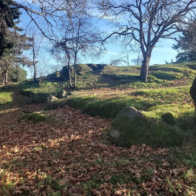Nob Hill Park