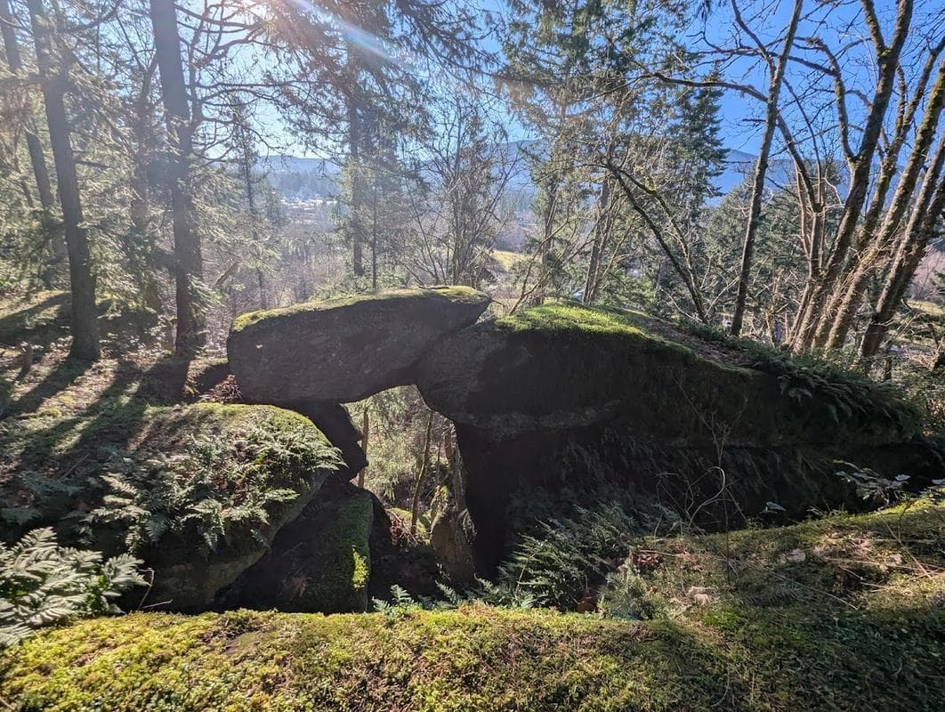 Northfield Rotary Lookout Park
