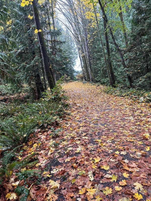 Horth Park