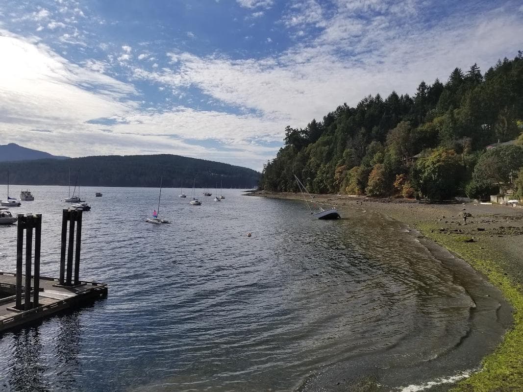 Maple Bay Beach