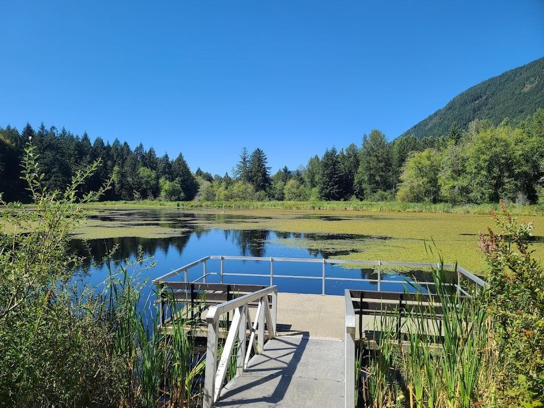 Mayo Lake Park