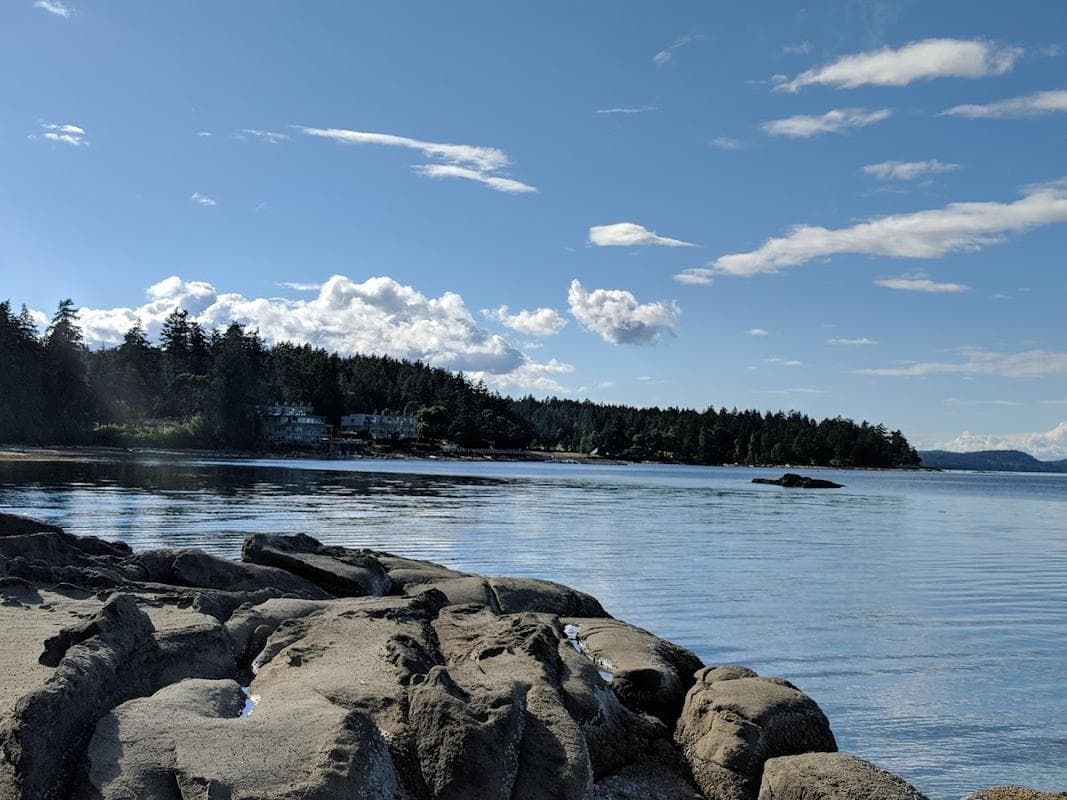 Blue Heron Park