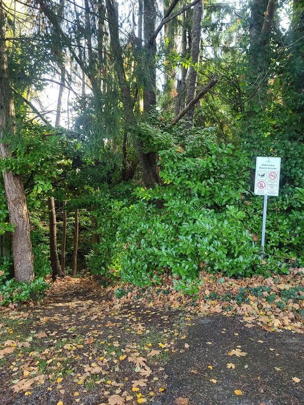 Bakerview Road Beach Access
