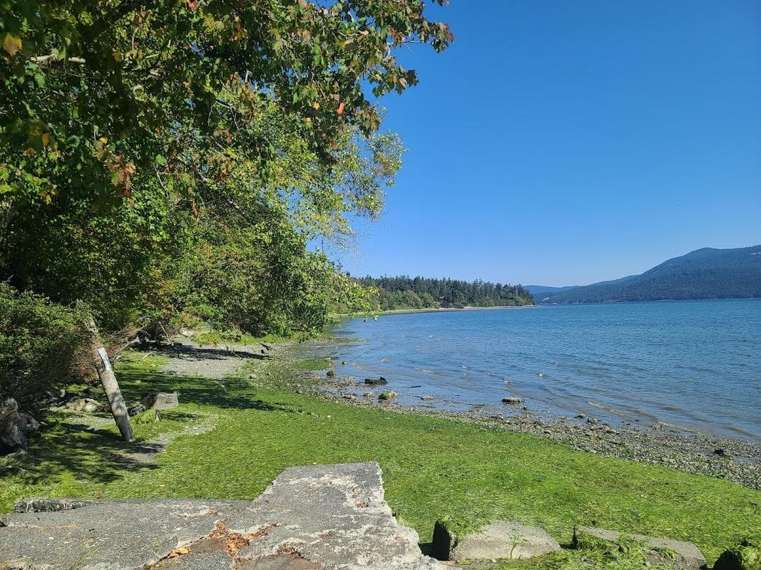 Clearwater Road Beach Access