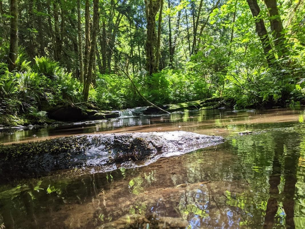 Askew Creek Park