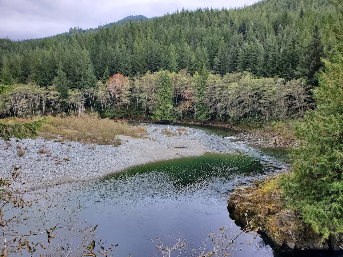 Avatar Grove Hiking Trails Recreation Site โ dog-friendly park in Port Renfrew, Vancouver Island