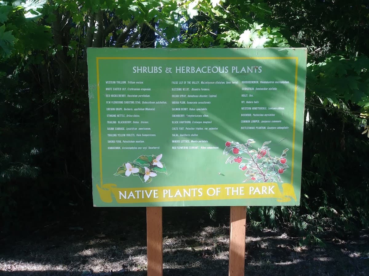 Millennium Memorial Park