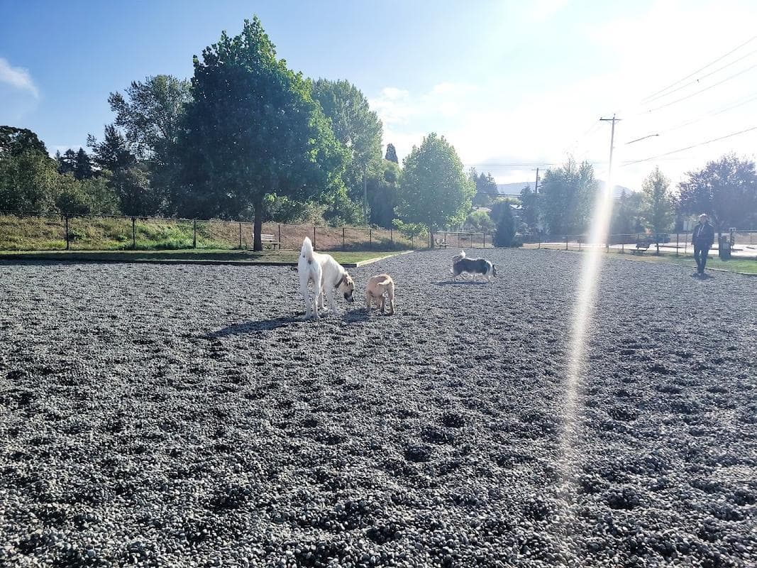 Somenos Creek Dog Park