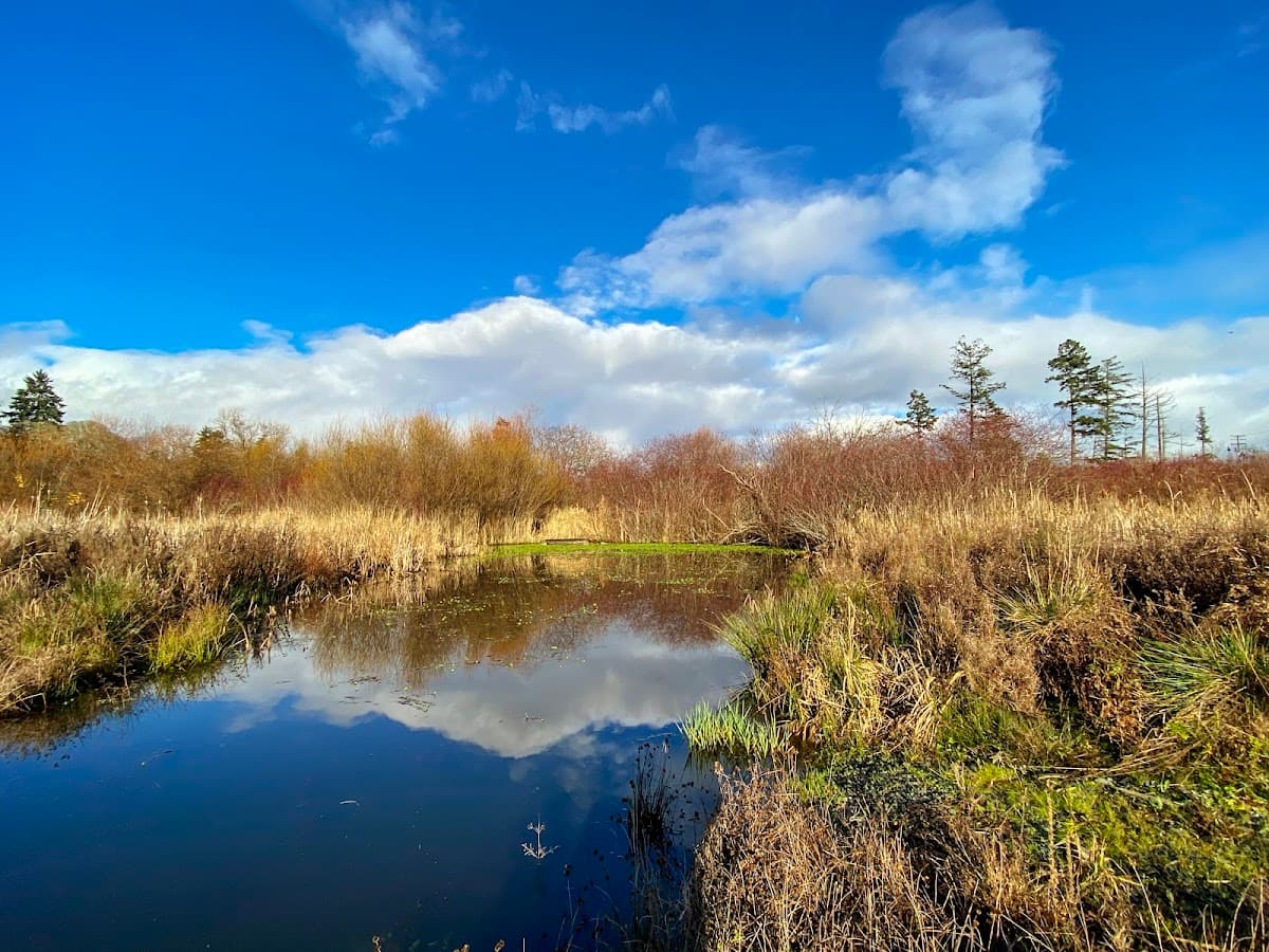 Stoneridge Wetland Park